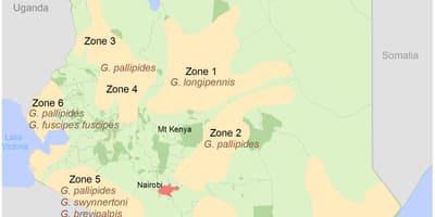 Kenya institute of undersökning och kartläggning av avgiftsstrukturen